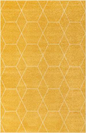 Yellow 4' 1 x 6' 1 Trellis Frieze Rectangle Area Rug Geometric Modern Unique Stain Resistant Easy Clean Carpet for Living, Dining, Bedrooms, Office for Sale at Rug Engine
