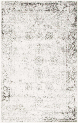 Gray 3' 3 x 5' 3 Sofia Rectangle Rug