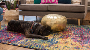 Multicolor 10' 6 x 16' 5 Chromatic Palace Area Rug 100% Polypropylene With Cotton Backing Abstract Modern Colorful Carpet Mat for Home Decor & Interior Design for Sale at Rug Engine