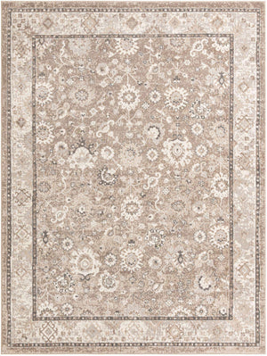 Beige Brown 9' x 12' Penrose Rectangle Area Rug