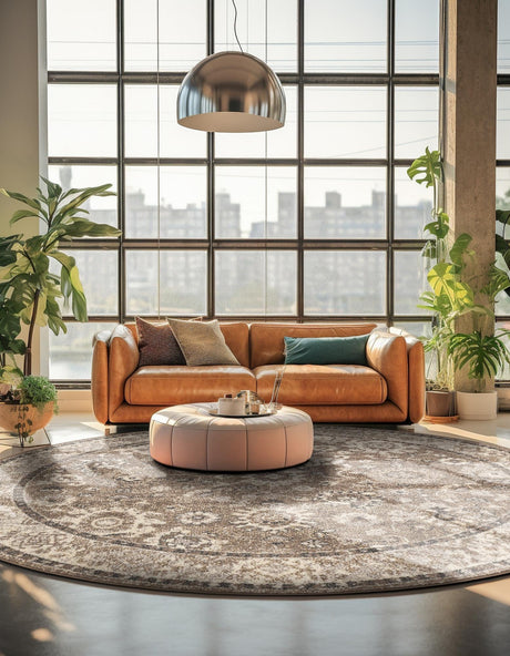 Beige Brown 6' 1 x 6' 1 Penrose Round Area Rug Classic Durable Stain Resistant Easy Clean Carpet for Traditional Indoor Home Decor for Sale at Rug Engine