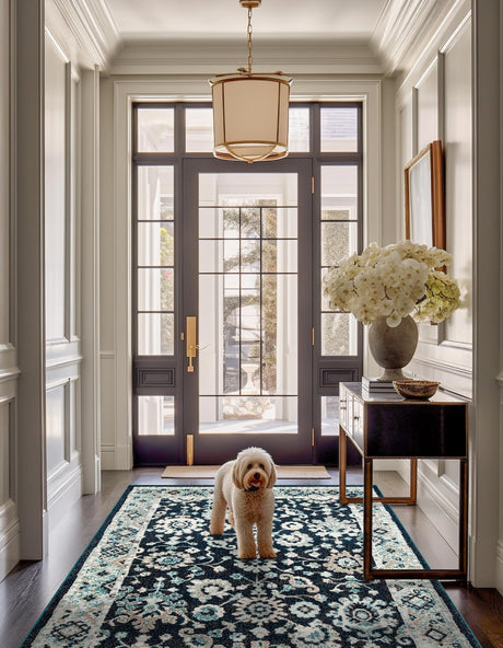 Navy Blue 2' x 3' 1 Penrose Rectangle Area Rug Classic Durable Stain Resistant Easy Clean Carpet for Traditional Indoor Home Decor for Sale at Rug Engine