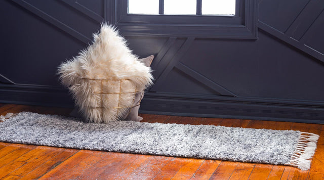 Gray 2' 7 x 8' 2 Hygge Shag Runner Area Rug Thick Soft Touch Fluffy & Plush Shaggy Pile 100% Polypropylene With Jute Backing Modern Carpet for Sale at Rug Engine