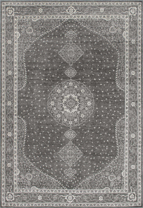Dark Gray 10' x 14' 1 Bromley Rectangle Area Rug 100% Polypropylene With Cotton Backing Vintage Distressed Colorful Traditional Carpet for Living Dining Rooms Offices for Sale at Rug Engine