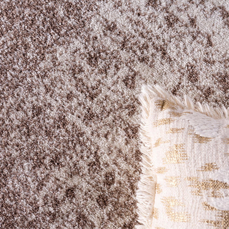 Light Brown 3' 3 x 5' 3 Bromley Rectangle Area Rug 100% Polypropylene With Cotton Backing Vintage Distressed Colorful Traditional Carpet for Living Dining Rooms Offices for Sale at Rug Engine