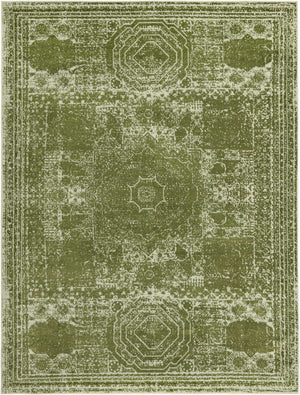 Green 9' x 12' Bromley Rectangle Area Rug 100% Polypropylene With Cotton Backing Vintage Distressed Colorful Traditional Carpet for Living Dining Rooms Offices for Sale at Rug Engine