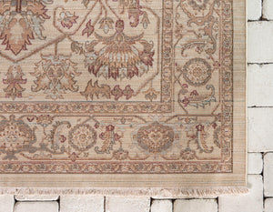 Cream 4' 1 x 6' 1 Dorchester Rectangle Area Rug 100% Polypropylene With Cotton Foundation Carpet for Living, Dining, Office, Bedrooms for Sale at Rug Engine