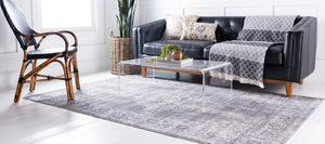 Gray 2' 2 x 3' Leila Rectangle Area Rug 85% Polypropylene & 15% Polyester Durable Traditional Carpet for Kitchens, Bedrooms, Living Rooms, Office for Sale at Rug Engine