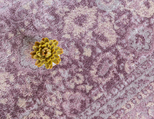 Violet 3' 3 x 3' 3 Leila Round Area Rug 85% Polypropylene & 15% Polyester Durable Traditional Carpet for Kitchens, Bedrooms, Living Rooms, Office for Sale at Rug Engine