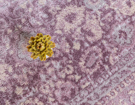 Violet 3' 3 x 3' 3 Leila Round Area Rug 85% Polypropylene & 15% Polyester Durable Traditional Carpet for Kitchens, Bedrooms, Living Rooms, Office for Sale at Rug Engine