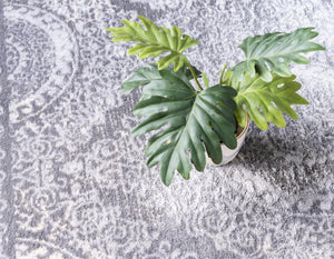 Gray 3' 3 x 3' 3 Leila Round Area Rug 85% Polypropylene & 15% Polyester Durable Traditional Carpet for Kitchens, Bedrooms, Living Rooms, Office for Sale at Rug Engine