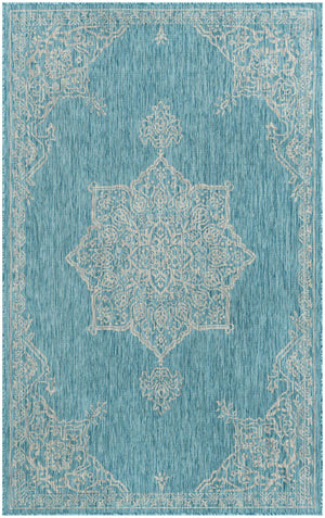 Light Aqua 5' 3 x 8' Outdoor Traditional Rectangle Area Rug Weather Resistant for Patio, Deck, Terrace, Balcony, Porch Classical Design Outside Carpet for Sale at Rug Engine