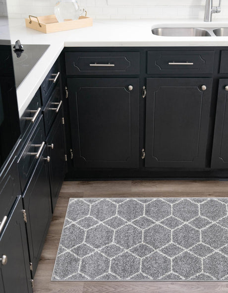 Light Gray 2' 7 x 12' Trellis Frieze Runner Area Rug Geometric Modern Unique Stain Resistant Easy Clean Carpet for Living, Dining, Bedrooms, Office for Sale at Rug Engine