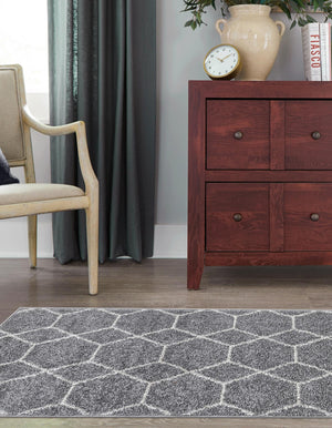 Light Gray 2' 7 x 12' Trellis Frieze Runner Area Rug Geometric Modern Unique Stain Resistant Easy Clean Carpet for Living, Dining, Bedrooms, Office for Sale at Rug Engine