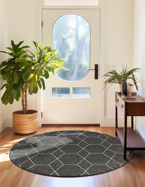 Dark Gray 6' 1 x 6' 1 Trellis Frieze Round Area Rug Geometric Modern Unique Stain Resistant Easy Clean Carpet for Living, Dining, Bedrooms, Office for Sale at Rug Engine