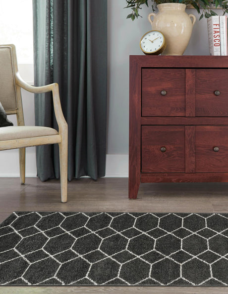 Dark Gray 2' x 10' Trellis Frieze Runner Area Rug Geometric Modern Unique Stain Resistant Easy Clean Carpet for Living, Dining, Bedrooms, Office for Sale at Rug Engine