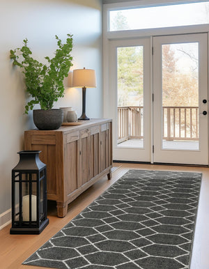 Dark Gray 2' x 10' Trellis Frieze Runner Area Rug Geometric Modern Unique Stain Resistant Easy Clean Carpet for Living, Dining, Bedrooms, Office for Sale at Rug Engine