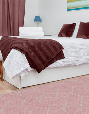 Light Pink 2' x 13' 1 Trellis Frieze Runner Area Rug Geometric Modern Unique Stain Resistant Easy Clean Carpet for Living, Dining, Bedrooms, Office for Sale at Rug Engine