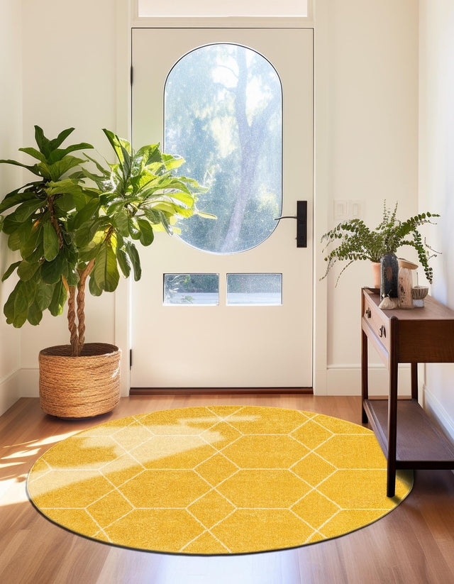 Yellow 4' 1 x 4' 1 Trellis Frieze Round Area Rug Geometric Modern Unique Stain Resistant Easy Clean Carpet for Living, Dining, Bedrooms, Office for Sale at Rug Engine