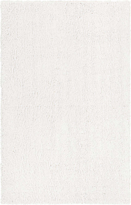White 3' 1 x 5' 3 Davos Shag Rectangle Area Rug Thick Soft Touch Fluffy & Plush Shaggy Pile 100% Polypropylene Carpet for Living Dining Bedrooms Office for Sale at Rug Engine