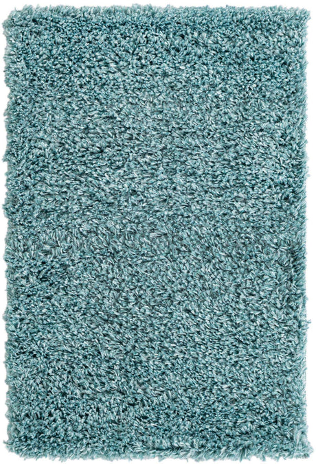 Aqua 2' x 3' 1 Davos Shag Rectangle Area Rug Thick Soft Touch Fluffy & Plush Shaggy Pile 100% Polypropylene Carpet for Living Dining Bedrooms Office for Sale at Rug Engine