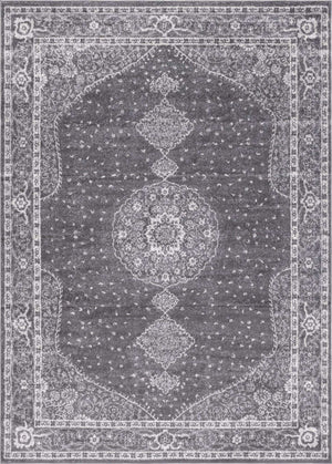 Dark Gray 7' 10 x 11' Bromley Rectangle Area Rug 100% Polypropylene With Cotton Backing Vintage Distressed Colorful Traditional Carpet for Living Dining Rooms Offices for Sale at Rug Engine