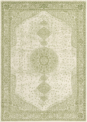 Green 7' 10 x 11' Bromley Rectangle Area Rug 100% Polypropylene With Cotton Backing Vintage Distressed Colorful Traditional Carpet for Living Dining Rooms Offices for Sale at Rug Engine