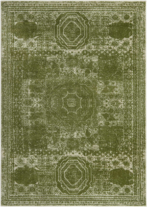 Green 7' 10 x 11' Bromley Rectangle Area Rug 100% Polypropylene With Cotton Backing Vintage Distressed Colorful Traditional Carpet for Living Dining Rooms Offices for Sale at Rug Engine