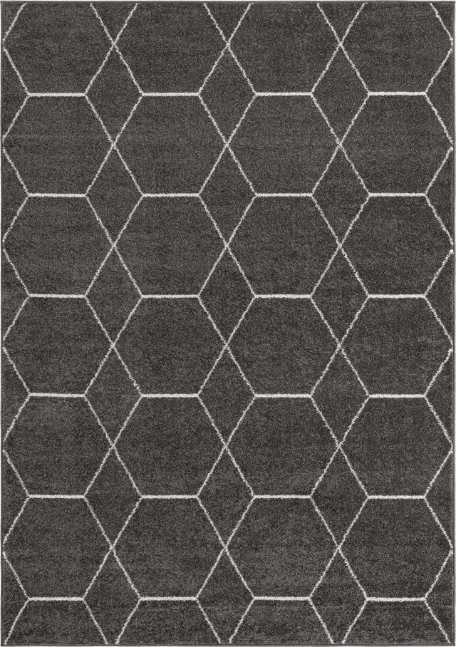 Dark Gray 10' x 14' 1 Trellis Frieze Rectangle Area Rug Geometric Modern Unique Stain Resistant Easy Clean Carpet for Living, Dining, Bedrooms, Office for Sale at Rug Engine