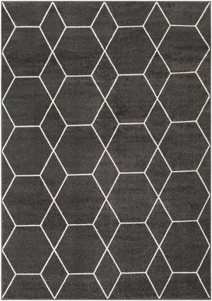 Dark Gray 7' 1 x 10' Trellis Frieze Rectangle Area Rug Geometric Modern Unique Stain Resistant Easy Clean Carpet for Living, Dining, Bedrooms, Office for Sale at Rug Engine