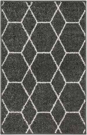 Dark Gray 2' x 3' 1 Trellis Frieze Rectangle Area Rug Geometric Modern Unique Stain Resistant Easy Clean Carpet for Living, Dining, Bedrooms, Office for Sale at Rug Engine