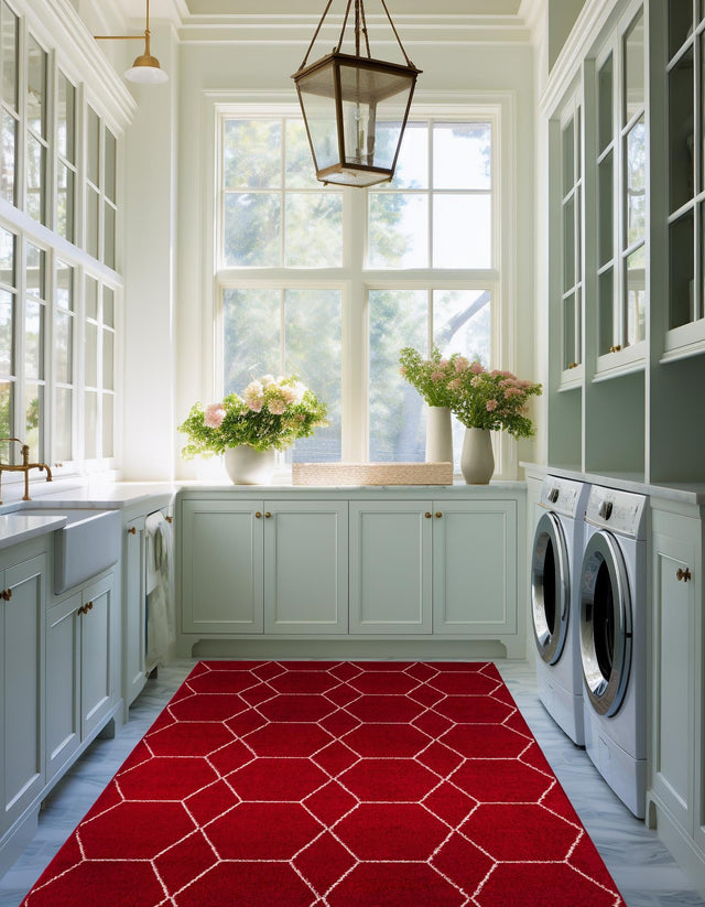 Red 3' 1 x 5' 3 Trellis Frieze Rectangle Area Rug Geometric Modern Unique Stain Resistant Easy Clean Carpet for Living, Dining, Bedrooms, Office for Sale at Rug Engine