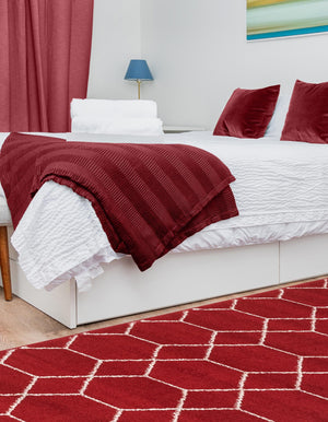Red 2' x 9' Trellis Frieze Runner Area Rug Geometric Modern Unique Stain Resistant Easy Clean Carpet for Living, Dining, Bedrooms, Office for Sale at Rug Engine