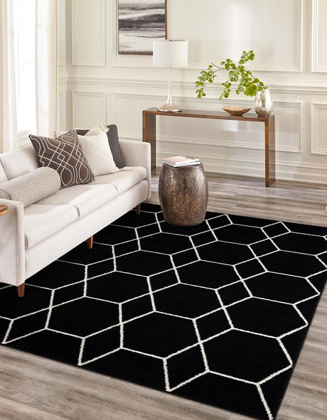 Black 2' x 3' 1 Trellis Frieze Rectangle Area Rug Geometric Modern Unique Stain Resistant Easy Clean Carpet for Living, Dining, Bedrooms, Office for Sale at Rug Engine