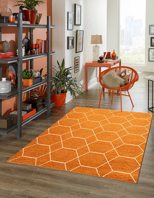 Orange 9' x 12' Trellis Frieze Rectangle Area Rug Geometric Modern Unique Stain Resistant Easy Clean Carpet for Living, Dining, Bedrooms, Office for Sale at Rug Engine