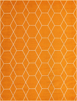 Orange 9' x 12' Trellis Frieze Rectangle Area Rug Geometric Modern Unique Stain Resistant Easy Clean Carpet for Living, Dining, Bedrooms, Office for Sale at Rug Engine