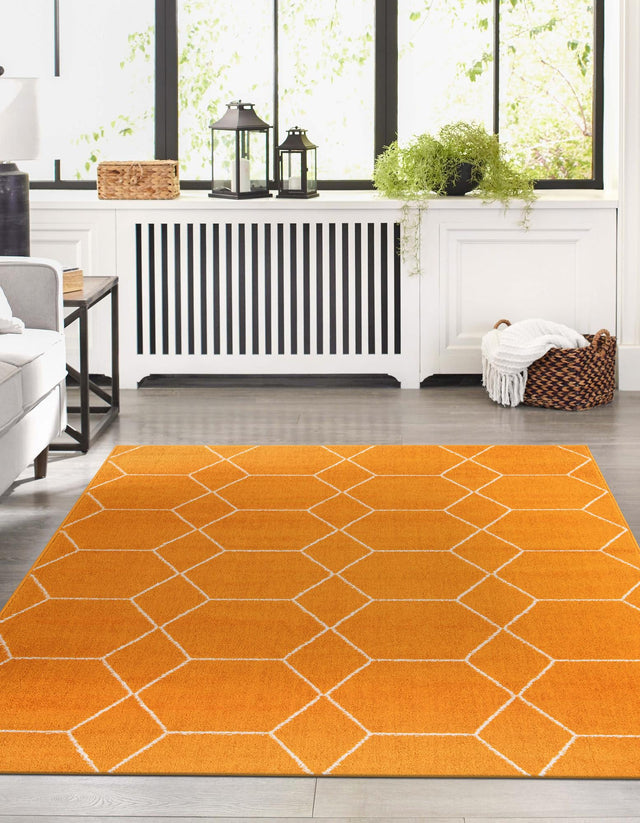 Orange 7' 1 x 10' Trellis Frieze Rectangle Area Rug Geometric Modern Unique Stain Resistant Easy Clean Carpet for Living, Dining, Bedrooms, Office for Sale at Rug Engine