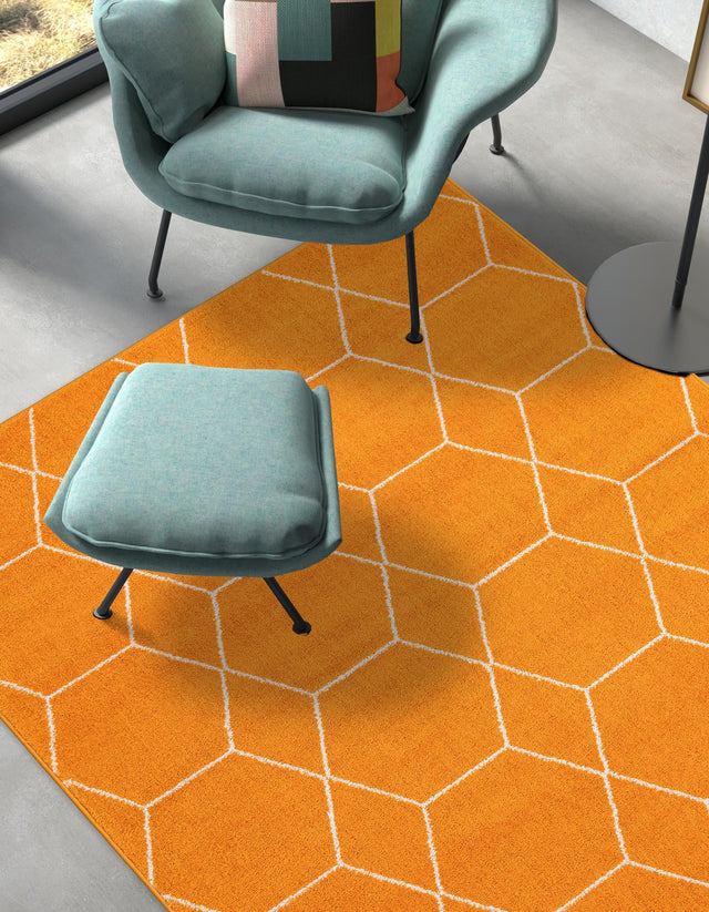 Orange 9' x 12' Trellis Frieze Rectangle Area Rug Geometric Modern Unique Stain Resistant Easy Clean Carpet for Living, Dining, Bedrooms, Office for Sale at Rug Engine