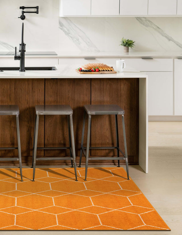 Orange 10' x 14' 1 Trellis Frieze Rectangle Area Rug Geometric Modern Unique Stain Resistant Easy Clean Carpet for Living, Dining, Bedrooms, Office for Sale at Rug Engine