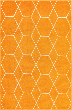 Orange 4' 1 x 6' 1 Trellis Frieze Rectangle Area Rug Geometric Modern Unique Stain Resistant Easy Clean Carpet for Living, Dining, Bedrooms, Office for Sale at Rug Engine