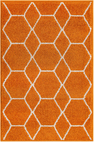 Orange 2' x 3' 1 Trellis Frieze Rectangle Area Rug Geometric Modern Unique Stain Resistant Easy Clean Carpet for Living, Dining, Bedrooms, Office for Sale at Rug Engine