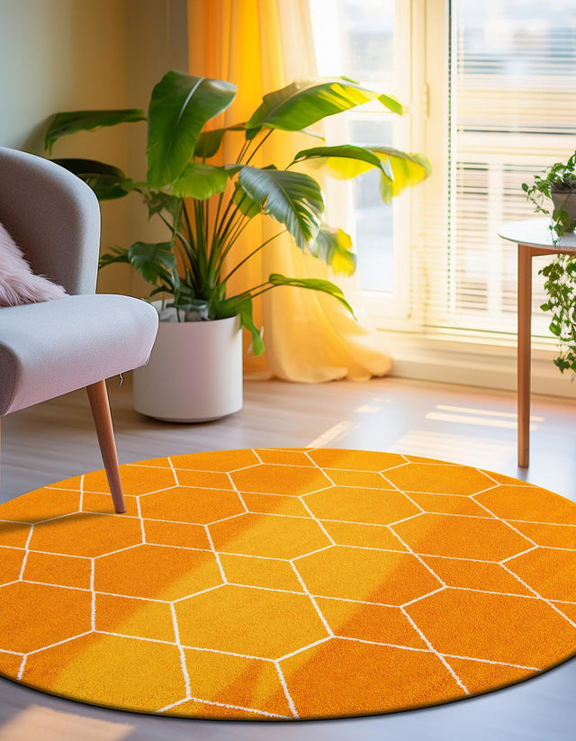 Orange 7' 10 x 7' 10 Trellis Frieze Round Area Rug Geometric Modern Unique Stain Resistant Easy Clean Carpet for Living, Dining, Bedrooms, Office for Sale at Rug Engine