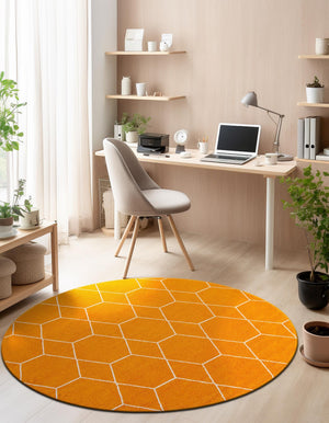 Orange 7' 10 x 7' 10 Trellis Frieze Round Area Rug Geometric Modern Unique Stain Resistant Easy Clean Carpet for Living, Dining, Bedrooms, Office for Sale at Rug Engine