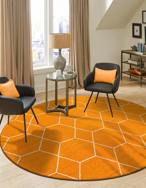 Orange 7' 10 x 7' 10 Trellis Frieze Round Area Rug Geometric Modern Unique Stain Resistant Easy Clean Carpet for Living, Dining, Bedrooms, Office for Sale at Rug Engine