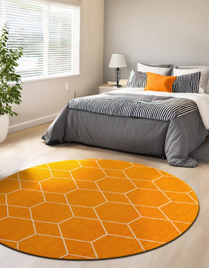 Orange 7' 10 x 7' 10 Trellis Frieze Round Area Rug Geometric Modern Unique Stain Resistant Easy Clean Carpet for Living, Dining, Bedrooms, Office for Sale at Rug Engine