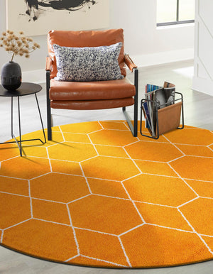 Orange 7' 10 x 7' 10 Trellis Frieze Round Area Rug Geometric Modern Unique Stain Resistant Easy Clean Carpet for Living, Dining, Bedrooms, Office for Sale at Rug Engine