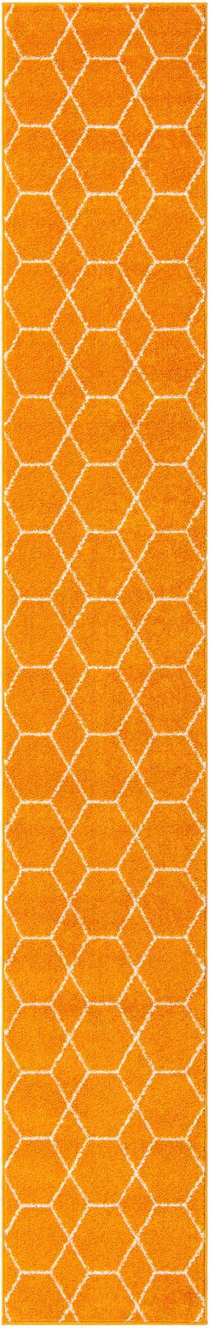 Orange 2' x 13' 1 Trellis Frieze Runner Area Rug Geometric Modern Unique Stain Resistant Easy Clean Carpet for Living, Dining, Bedrooms, Office for Sale at Rug Engine