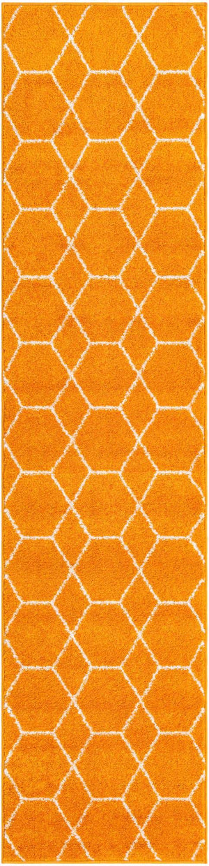 Orange 2' x 9' Trellis Frieze Runner Area Rug Geometric Modern Unique Stain Resistant Easy Clean Carpet for Living, Dining, Bedrooms, Office for Sale at Rug Engine