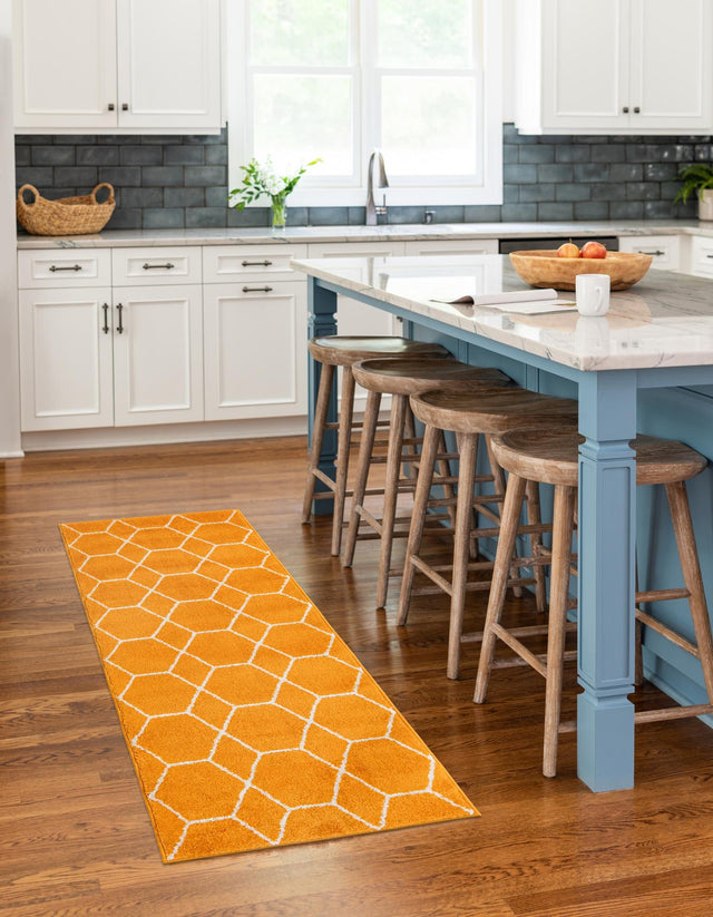 Orange 2' x 9' Trellis Frieze Runner Area Rug Geometric Modern Unique Stain Resistant Easy Clean Carpet for Living, Dining, Bedrooms, Office for Sale at Rug Engine