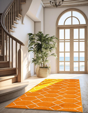 Orange 2' x 13' 1 Trellis Frieze Runner Area Rug Geometric Modern Unique Stain Resistant Easy Clean Carpet for Living, Dining, Bedrooms, Office for Sale at Rug Engine